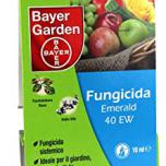 Miglior funghicida bayer