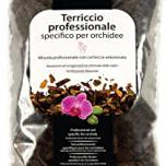 Miglior terriccio orchidee